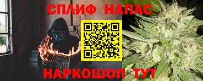 индика Бийск