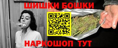 индика Бийск