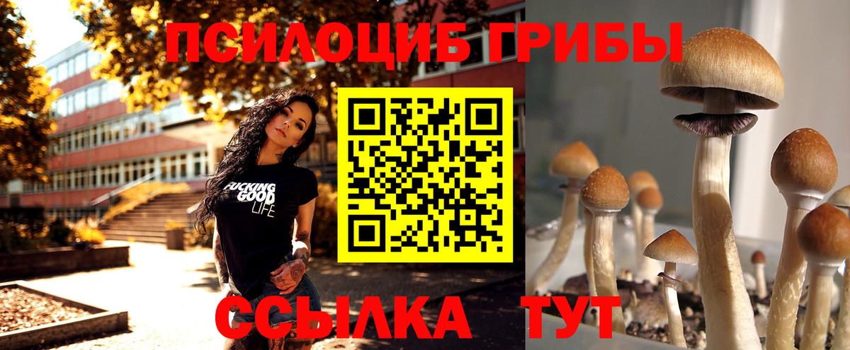 Галлюциногенные грибы Magic Shrooms Гудермес
