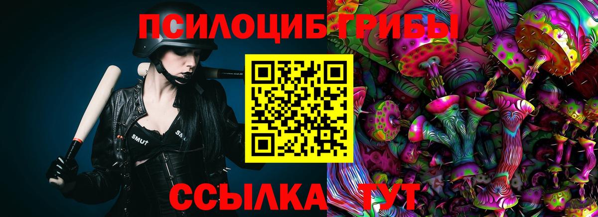 Псилоцибиновые грибы Psilocybine cubensis  Вход с VPN  Гудермес 